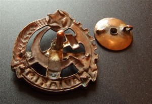 Знак общества Аз.ОСОАВИАХИМ, 1920-е годы. РЕДКИЙ!