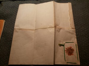 Свидетельство о присвоении звания Фармацевта. 1930г