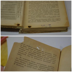 Ломброзо. Женщина преступница и проститутка.