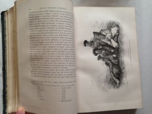 Элизе Реклю ( Elisee Reclus) , Русская Азия