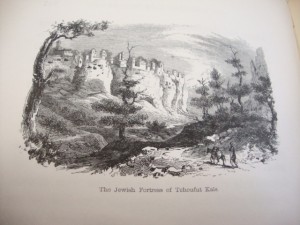 Путешествие по России к Чёрному морю. 1853г. Олифант.