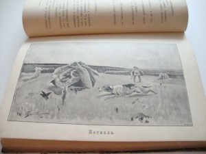 Природа и Охота. Июнь. 1893г