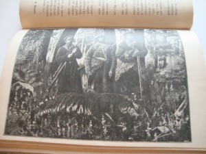Природа и Охота. Июнь. 1893г