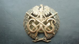 Копанные полковые знаки и не только.