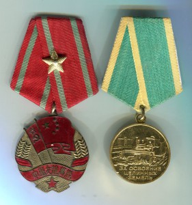 Китайско-советская дружба с доками