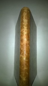 стихотворения    графа  А.А.Голенищева-Кутузова   1884 года