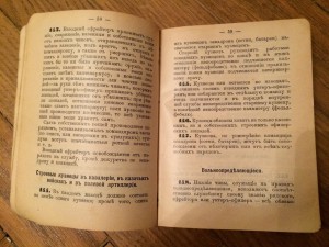 Устав внутренней службы - 1910 г.