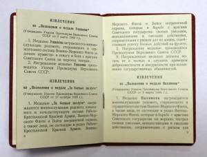 Обществ.Порядок в сер.на доке и Партизан на Доке в комплекте