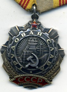 Трудовая Слава 3 ст. № 291830