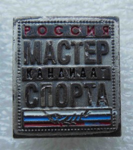 Кандидат в мастера спорта России (цанга).