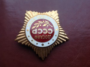 Почётный знак ДОСААФ СССР (знамённый).