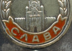 Комплект с ДУБЛИКАТНЫМИ боевыми Славами и Отвагой + прицеп н