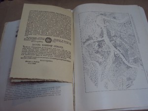 Культурно-исторический очерк жизни С-Петербурга за два века.