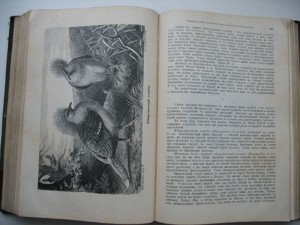 Книга.Жизнь животных Брэма.Птицы .2т