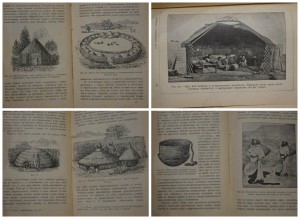 Деникер. Человеческие расы.
