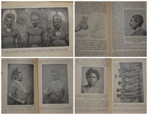 Деникер. Человеческие расы.