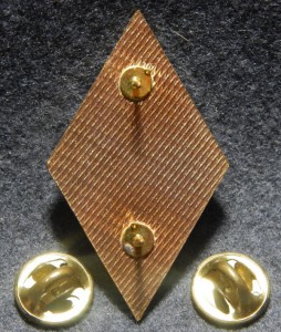 Отличник образования Башкортостан /т.м./