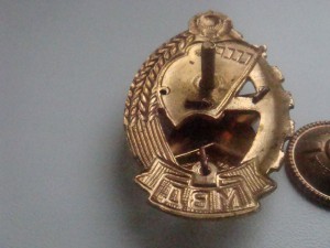 ОТЛИЧНИК ПОЖАРНОЙ ОХРАНЫ В СОХРАНЕ.