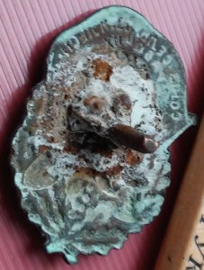 Союз сельхоз. и лесных рабочих