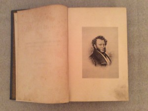 Пушкин 1887 год