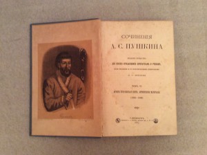 Пушкин 1887 год