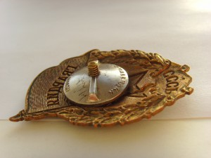 ГВАРДИЯ ТАЛЛИН, ОТЛИЧНОЕ СОСТОЯНИЕ ЭМАЛЕЙ