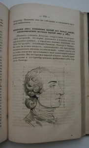 Литературный сборник с иллюстрациями. 1849 г. Типогр. Праца.