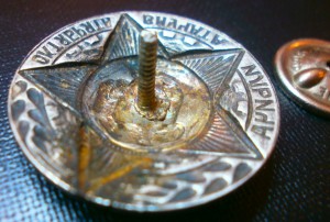 ОКТЯБРЯТА ВНУЧАТА ИЛЬИЧА