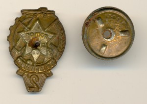 Готов к ПВХО (4021)