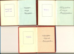 Октябрьская Революция, ТКЗ на одного на доках (4049)