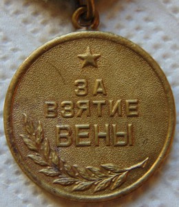 Вена 2 шт