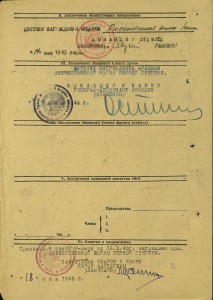 ОВ1-189269 на летчика истребителя