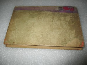 Погромы. 1907.
