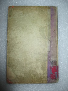 Погромы. 1907.