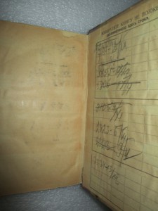 Погромы. 1907.