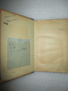 Погромы. 1907.