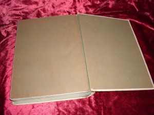 Вечера на хуторе близ Диканьки. Миргород. 1911 г.