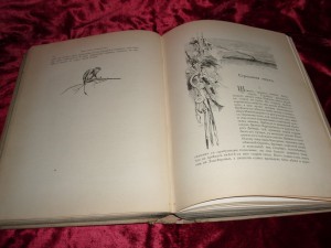 Вечера на хуторе близ Диканьки. Миргород. 1911 г.