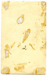 5 фото из семейного архива ПОГРАНИЧНИКА Г.Ф.РУДКОВСКОГО.