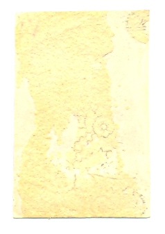 РР, Крюченкин В.Д. (4105)