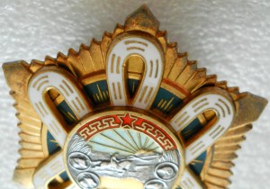 Орден "Полярная Звезда" (№10133)