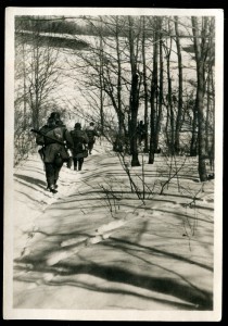 Оригинальные фотооткрытки СС и полиция