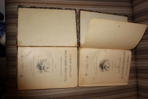 Научно-литературный журнал
