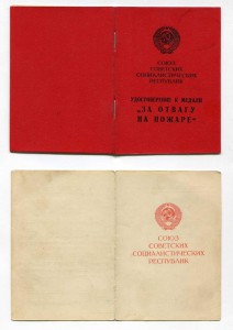 доки За отвагу на Пожаре,Киев,Ветераны