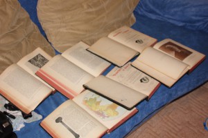 элизе реклю. человек и земля. в 6 томах