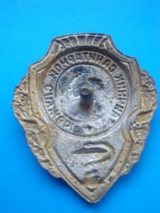 Отличник санитарной службы