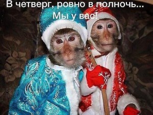 С наступающим НОВЫМ ГОДОМ!!!