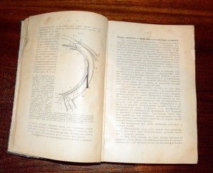 Записки по офтальмологии. Н.И. Андогскаго 1908г.С-Петербург
