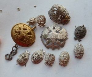 Солянка кокарды