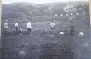 Стрельба по мишеням